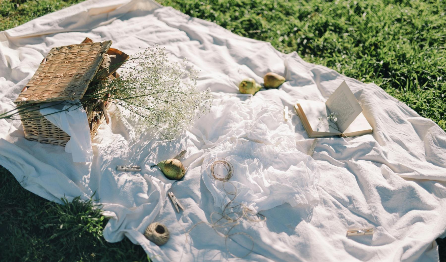 a picnic on a lawn
