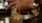 a hand holding a glass of liquid